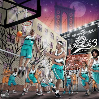The Underachievers - Lords Of Flatbush 3 album cover