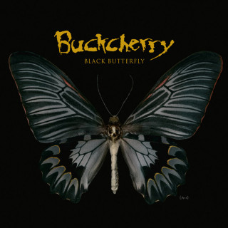 Buckcherry - Black Butterfly album cover