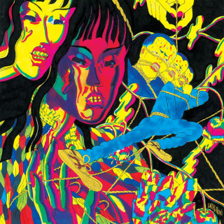 Thee Oh Sees - Drop album cover