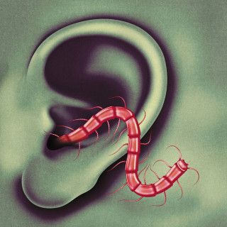 Thee Oh Sees - An Odd Entrances album cover