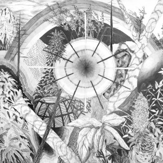 Oh Sees - Dog Poison album cover