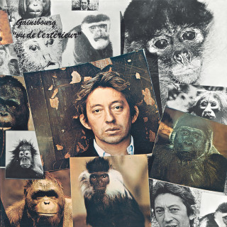 Serge Gainsbourg - Vu De L'extérieur album cover