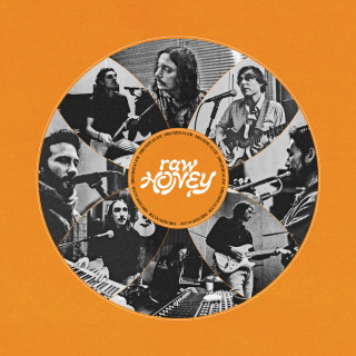 Drugdealer - Raw Honey album cover