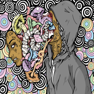 Nef The Pharaoh - Mushrooms & Coloring Books album cover