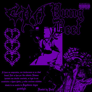 Yung Beef - Traumatismo Kraneoencefalico mixtape cover