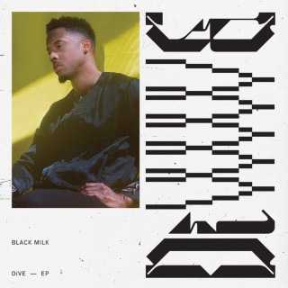 Black Milk - DiVE album cover