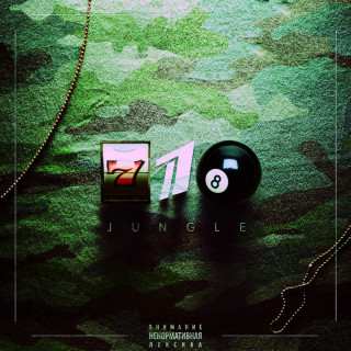 JILLZAY - 718 Jungle album cover