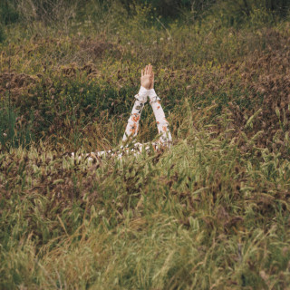 VÉRITÉ - New Skin album cover