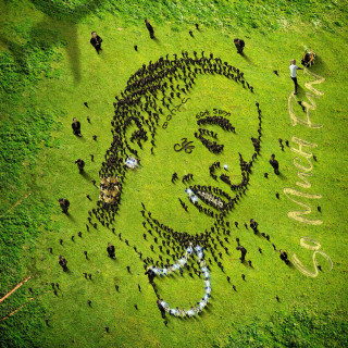 Young Thug - So Much Fun album cover