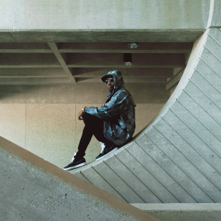 Busy Signal - Parts Of The Puzzle album cover