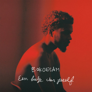 Bokoesam - Een Beetje Voor Jezelf EP cover