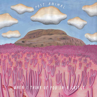 Post Animal - When I Think Of You In A Castle album cover