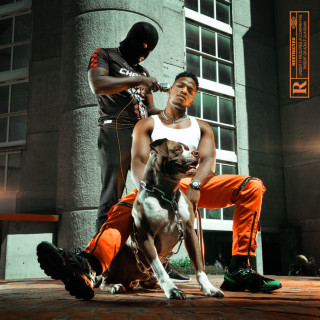 Niska - Mr Sal album cover