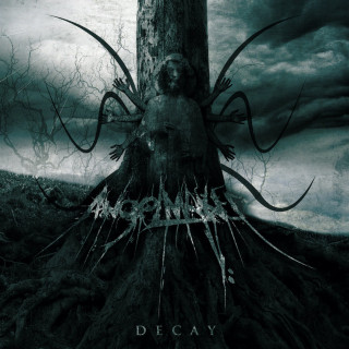 AngelMaker - Decay EP cover