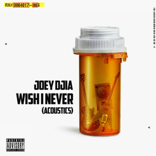 Joey Djia - Wish I Never (Acoustics) album cover