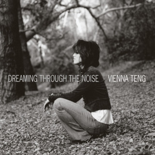 Vienna Teng - Dreaming Through The Noise album cover