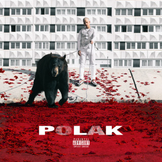 PLK - Polak album cover