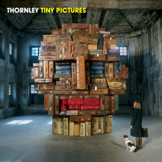 Thornley - Tiny Pictures album cover
