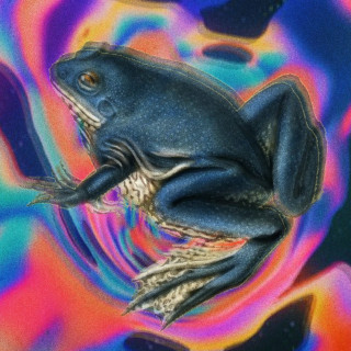 Hundredth - Somewhere Nowhere album cover