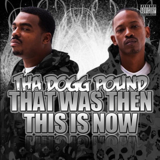 Tha Dogg Pound - That Was Then This Is Now album cover