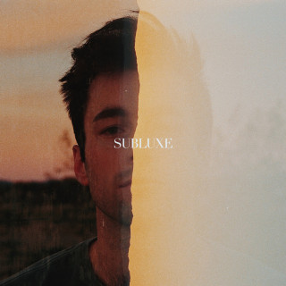 Healy - Subluxe album cover