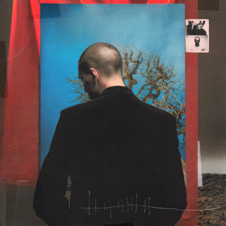 FACE - 12 album cover