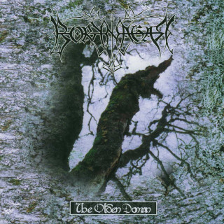 Borknagar - The Olden Domain album cover