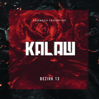 Kalazh44 - Bezirk 13 album cover