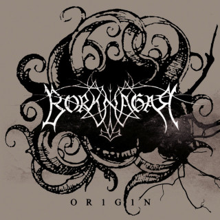 Borknagar - Origin album cover