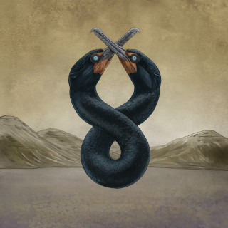 San Fermin - The Cormorant I & II album cover