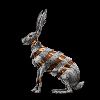San Fermin - Jackrabbit album cover