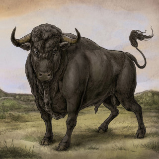 San Fermin - San Fermin album cover
