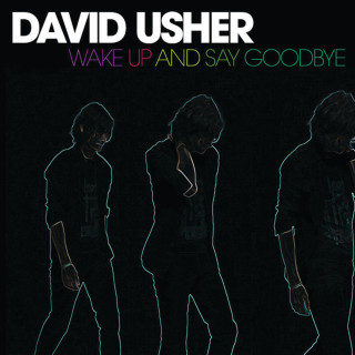 David Usher - Wake Up And Say Goodbye album cover