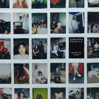 Screaming Females - Singles Too compilation cover