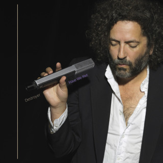 Destroyer - Have We Met album cover