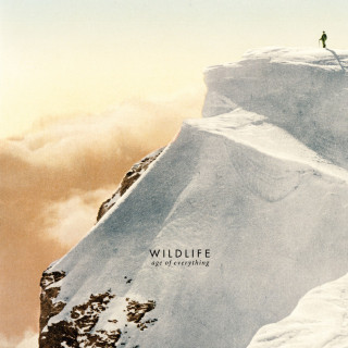 Wildlife - Age Of Everything album cover