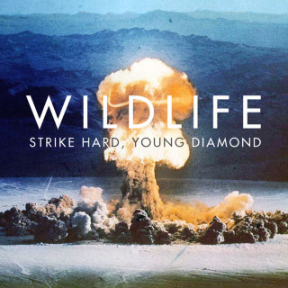 Wildlife - Strike Hard, Young Diamond album cover