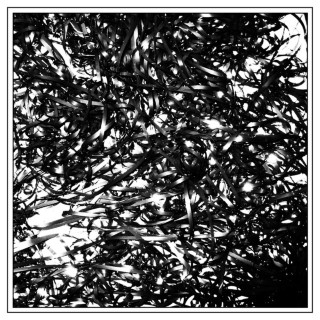 clipping. - midcity mixtape cover