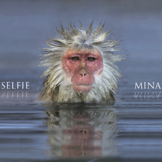 Mina - Selfie album cover
