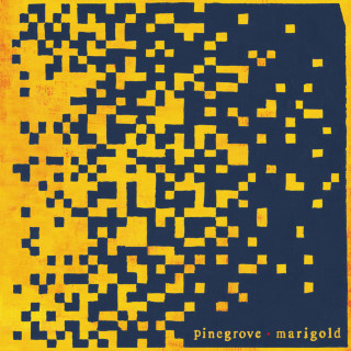 Pinegrove - Marigold album cover