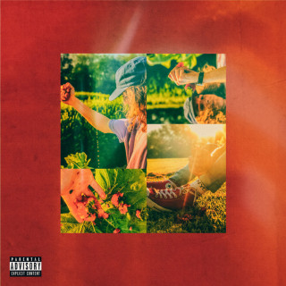 Felly - Wild Strawberries album cover