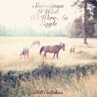 Bill Callahan - Sometimes I Wish We Were An Eagle album cover