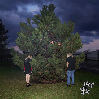 100 gecs - 1000 gecs album cover