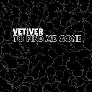 Vetiver - To Find Me Gone album cover