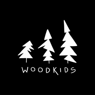 OK KID - Woodkids album cover