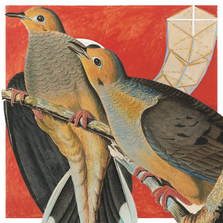 Morningsiders - Pollen album cover