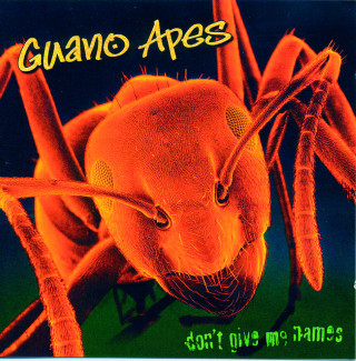 Guano Apes - Don't Give Me Names album cover