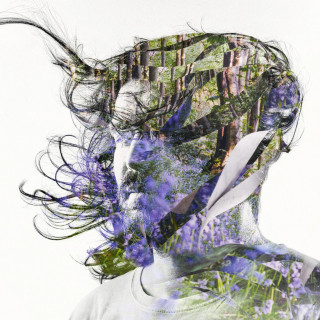 Bibio - Ribbons album cover