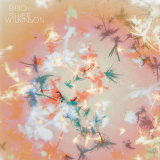 Bibio - Silver Wilkinson album cover