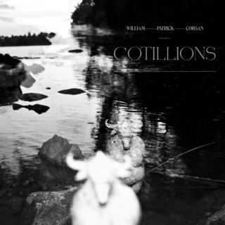 William Patrick Corgan - Cotillions album cover